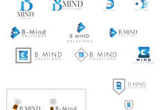 B-mind-solutions_logo1